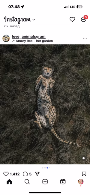 Aliona Key - Gallery Image 2