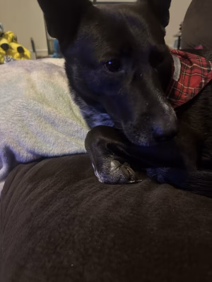 Brandon Whitley - Project Casting Gallery Image 4 Brandon Whitley - Gallery Image 4