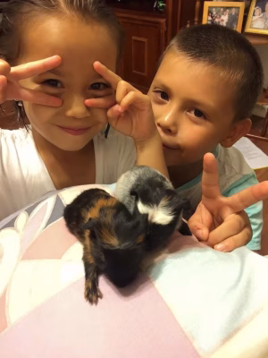 Conrad Hagl - Gallery Image 11