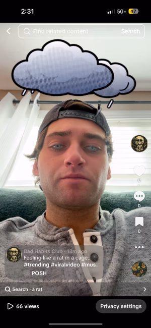 Steven Rooney - Gallery Image 9