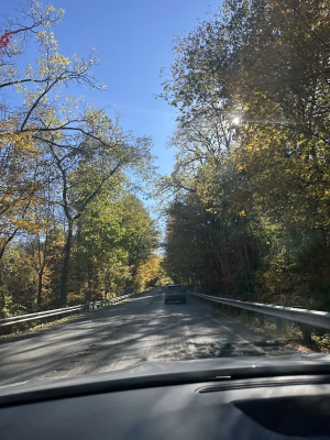 Christina  Acevedo - Gallery Image 13