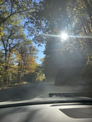 Christina  Acevedo - Gallery Image 11