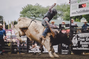 Jorden Halvorsen - Project Casting Gallery Image 10 Jorden Halvorsen - Gallery Image 10