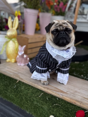 Nicole Bottoms - Project Casting Gallery Image 4 Nicole Bottoms - Gallery Image 4