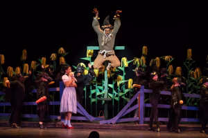 Ty Gibson - Gallery Image 18