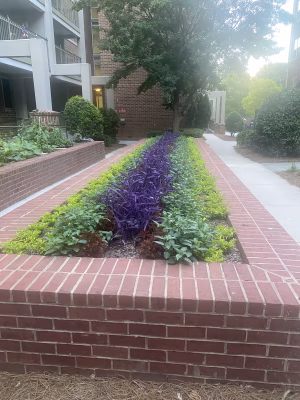 Jozette Smith - Project Casting Gallery Image 13 Jozette Smith - Gallery Image 13