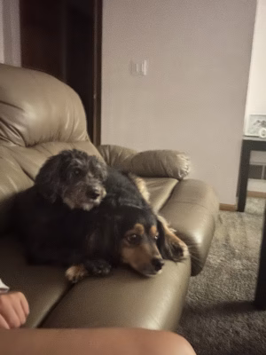 Jenna Sanchez - Project Casting Gallery Image 5 Jenna Sanchez - Gallery Image 5