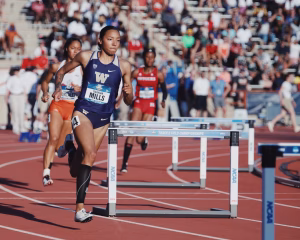 Darhian Mills - Gallery Image 1