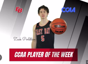 Zack Perlstein - Gallery Image 1