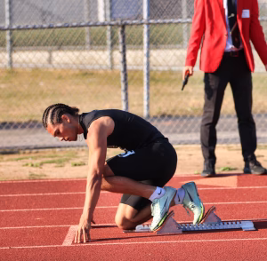 Masyn Harvey - Gallery Image 12