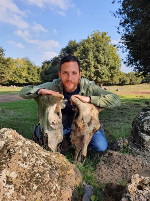 Shai Rilov - Gallery Image 5