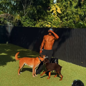 Jesús Bernal - Project Casting Gallery Image 8 Jesús Bernal - Gallery Image 8