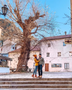 Ellia Tootoonchian - Gallery Image 14