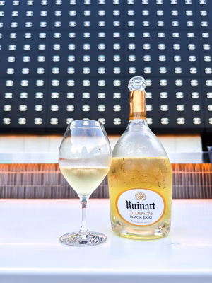 Jennifer Zambrano - Gallery Image 13