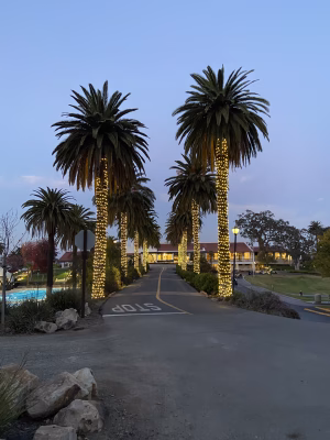 Ian Campbell - Project Casting Gallery Image 1 Ian Campbell - Gallery Image 1