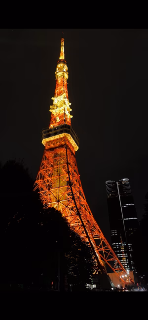 Jennifer Zambrano - Gallery Image 8