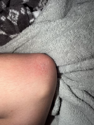 Tyler Felschow - Project Casting Gallery Image 2 Tyler Felschow - Gallery Image 2