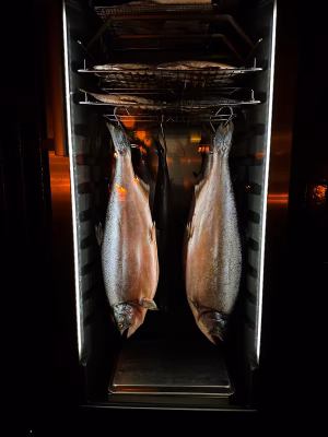 Jennifer Zambrano - Gallery Image 11