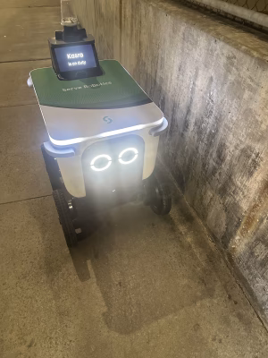 ygg gf - Gallery Image 1