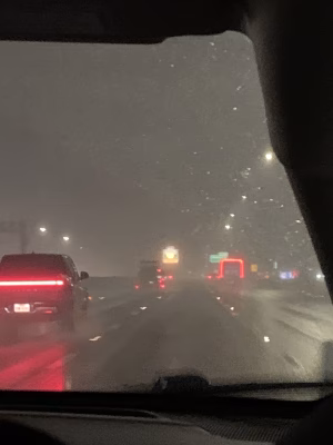 Adan Mays - Project Casting Gallery Image 3 Adan Mays - Gallery Image 3