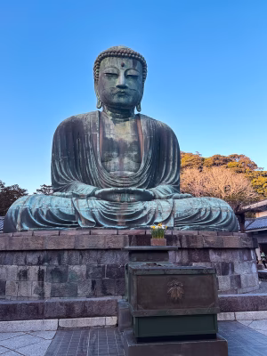 Jennifer Zambrano - Gallery Image 19