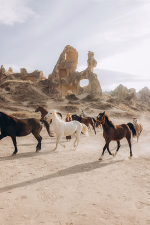 Laura Raistrick - Project Casting Gallery Image 6 Laura Raistrick - Gallery Image 6