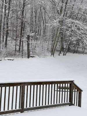 kathy O’Connor - Project Casting Gallery Image 5 kathy O’Connor - Gallery Image 5