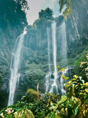 Ellia Tootoonchian - Gallery Image 7