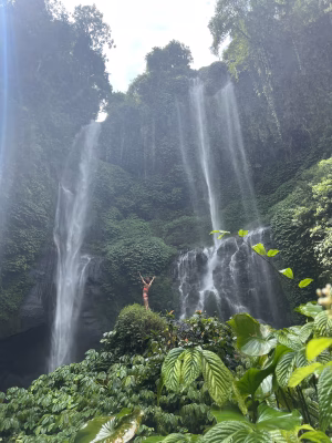 Ellia Tootoonchian - Gallery Image 10