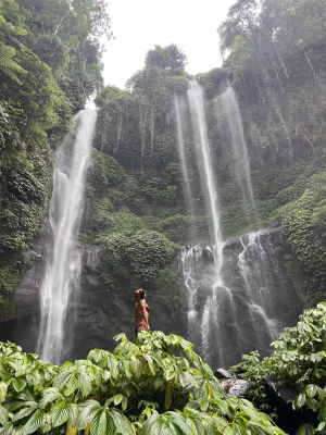 Ellia Tootoonchian - Gallery Image 11