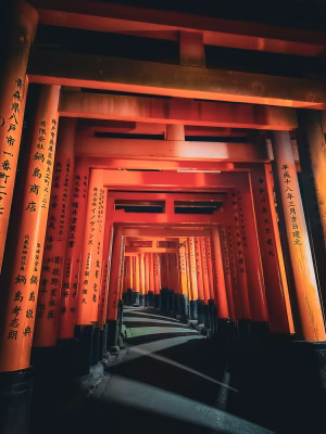 Jennifer Zambrano - Gallery Image 17