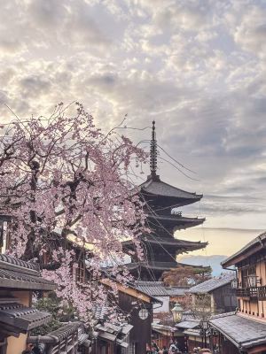 Jennifer Zambrano - Gallery Image 15