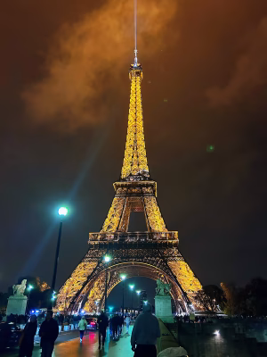 Nia Kim - Gallery Image 8