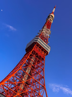 Jennifer Zambrano - Gallery Image 1