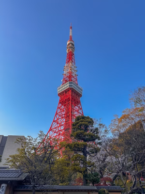 Jennifer Zambrano - Gallery Image 2