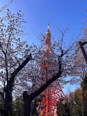 Jennifer Zambrano - Gallery Image 4