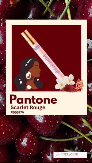 Virtuous Oppong-Addae - Project Casting Gallery Image 3 Virtuous Oppong-Addae - Gallery Image 3