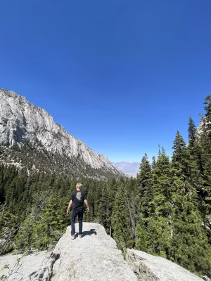 Brett Bedrosian - Gallery Image 8