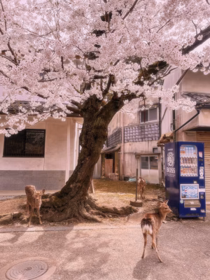 Jennifer Zambrano - Gallery Image 14