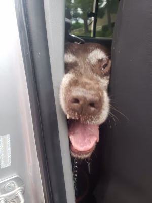 Ramzi Aljundi - Project Casting Gallery Image 3 Ramzi Aljundi - Gallery Image 3