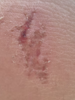 Teagrah Farrugia - Project Casting Gallery Image 5 Teagrah Farrugia - Gallery Image 5