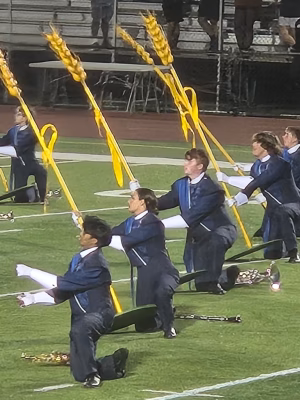 Giselle Holzel - Project Casting Gallery Image 13 Giselle Holzel - Gallery Image 13