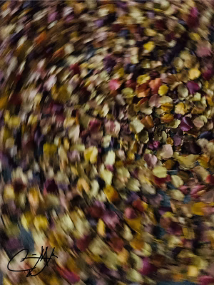 Cecil Eugene Moore II - Project Casting Gallery Image 31 Cecil Eugene Moore II - Gallery Image 31