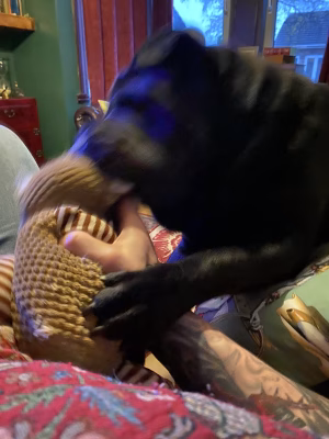 Antony Walker - Project Casting Gallery Image 8 Antony Walker - Gallery Image 8