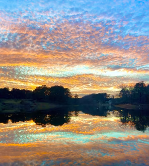 Tatyana Woods Zachary - Project Casting Gallery Image 9 Tatyana Woods Zachary - Gallery Image 9