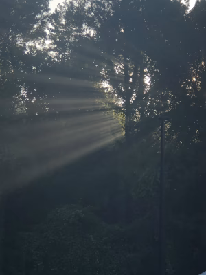 Tatyana Woods Zachary - Project Casting Gallery Image 7 Tatyana Woods Zachary - Gallery Image 7