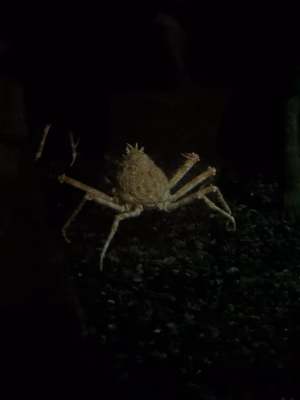 Tatyana Woods Zachary - Project Casting Gallery Image 13 Tatyana Woods Zachary - Gallery Image 13