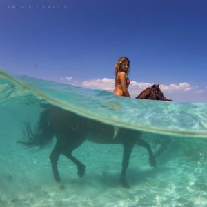 Dashama Gordon - Gallery Image 3