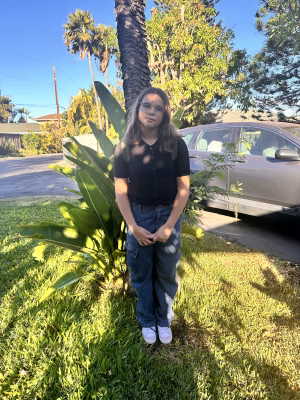 Delilah Varvaro - Project Casting Gallery Image 4 Delilah Varvaro - Gallery Image 4