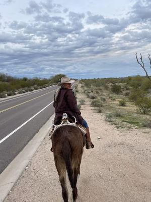 Christina Palen - Project Casting Gallery Image 28 Christina Palen - Gallery Image 28